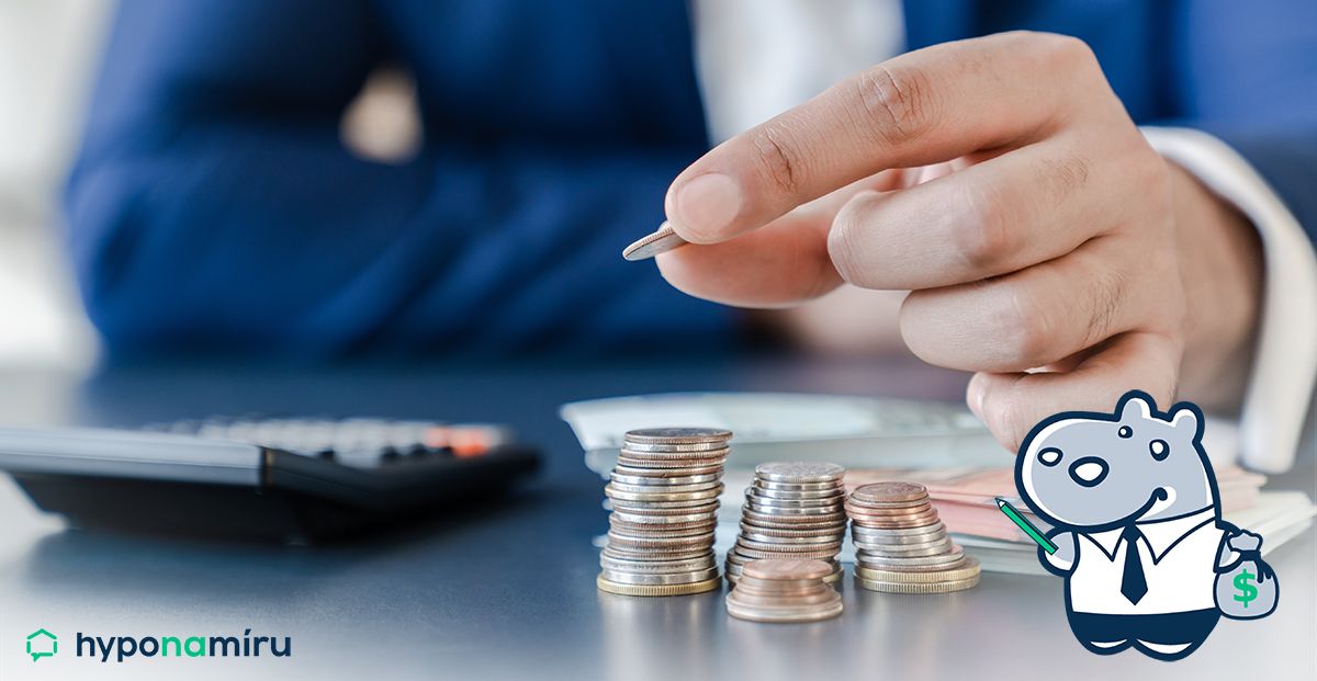 Příjmy a hypotéka. Jaké příjmy banka uzná